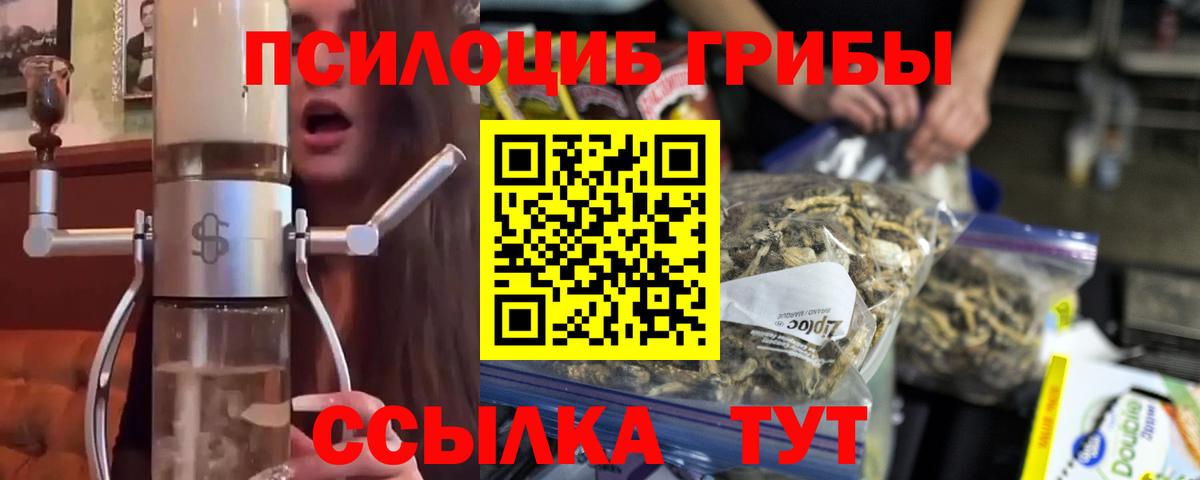 Магнитогорск  Псилоцибиновые грибы мухоморы  где купить наркотик  Вход с VPN 
